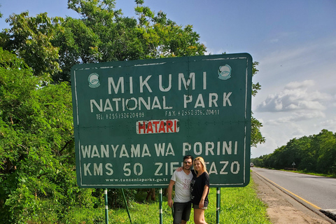 2 DIAS DE SAFARI CLÁSSICO A MIKUMI DE COMBOIO A PARTIR DE DAR ES SALAAM