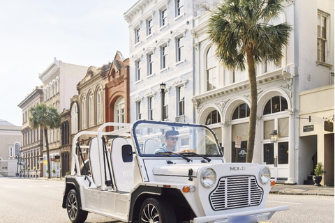 Charleston: Electric Moke Rental 1 day rental