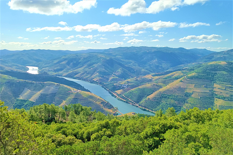 Porto: Private Tour durch das Douro-Tal mit Portweinverkostung und Mittagessen