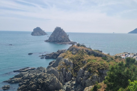 Busan: Guided Tour with Temple, Cave, and Palace Visits