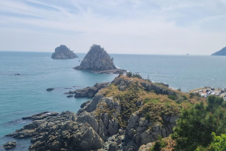 Busan: Guided Tour with Temple, Cave, and Palace Visits