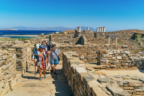 Ab Mykonos: Tour nach Delos mit Tickets ohne AnstehenPrivate Gruppentour auf Französisch
