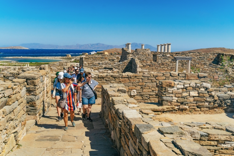 De Mykonos : visite guidée de Delos avec billets coupe-fileVisite en français avec transfert depuis l'hôtel