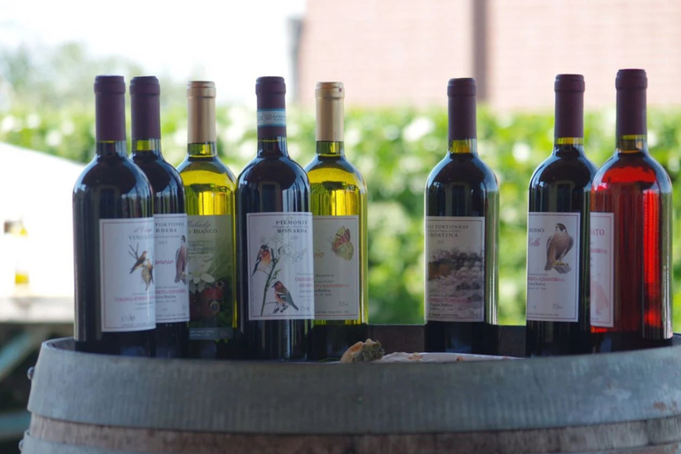 Casalnoceto: Winery Tour with Wine Tasting & Local Food Winery Visit in Alessandria - Italiano