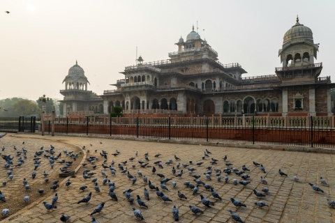 Jaipur: Ganztägige private geführte Tour mit HotelabholungPrivate Tour mit Fahrer, Auto, Eintrittskarten und Reiseleiter