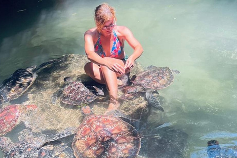 Zanzibar: Baraka Aquarium: alimente, nade e mergulhe com snorkel com tartarugas