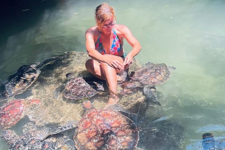 Zanzibar: Baraka Aquarium Mata, simma och snorkla med sköldpaddor