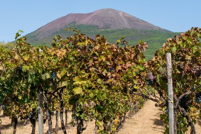 From Amalfi: Pompeii and Mount Vesuvius Winery Private Tour