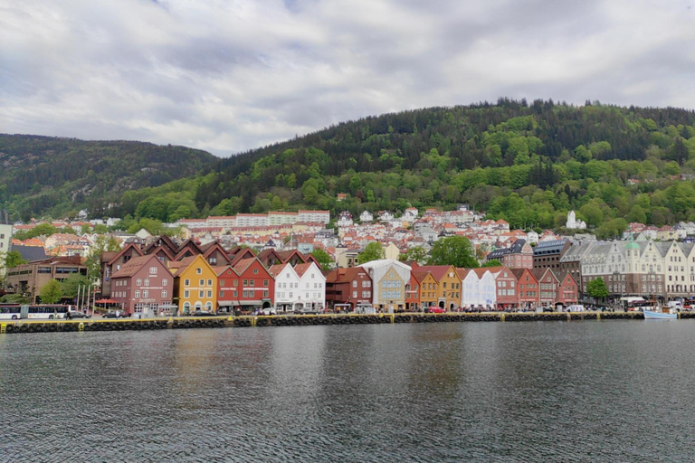 Bergen: Private tour in your own language