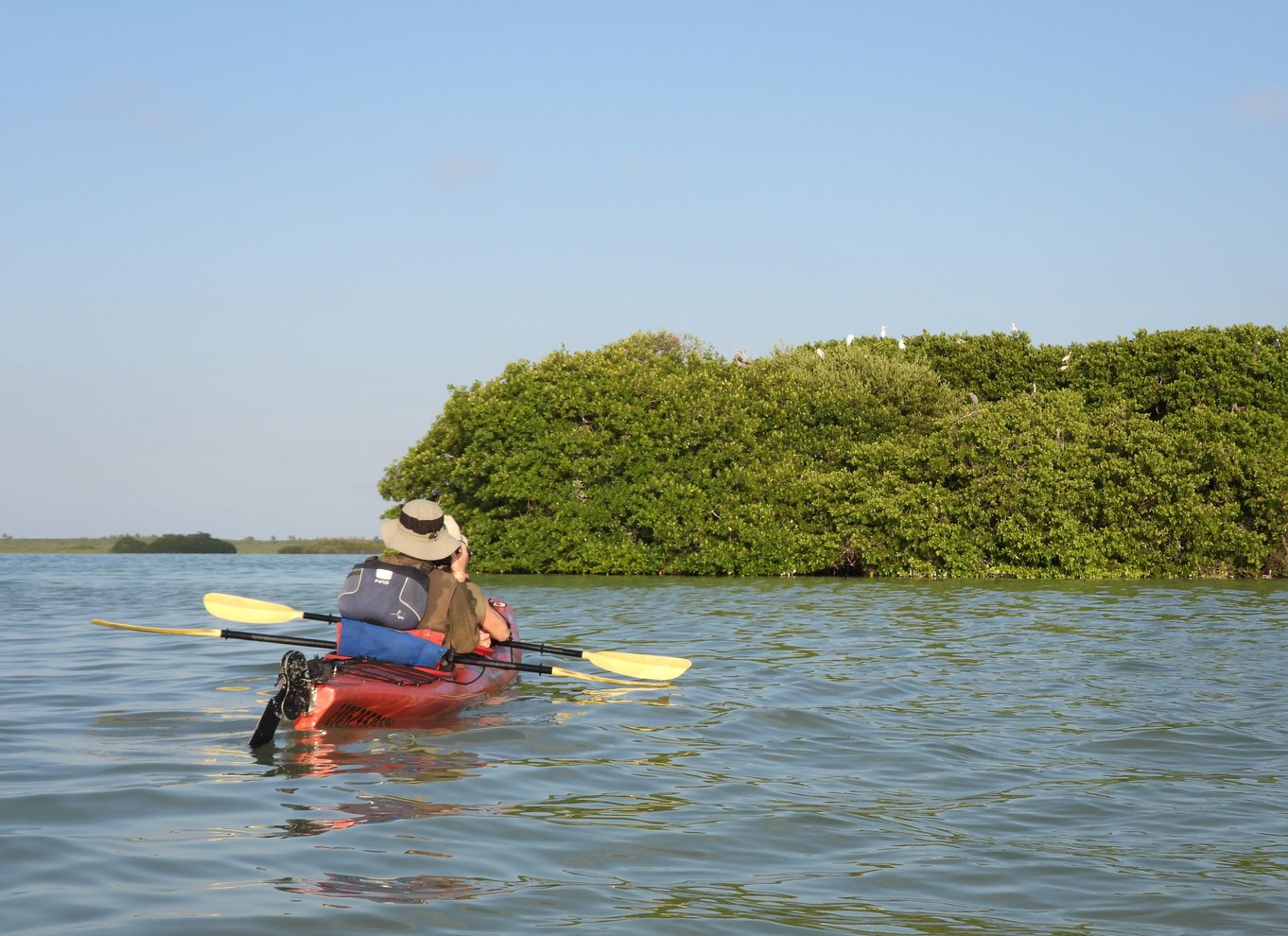 Tulum: "Morgentur i kajak i Sian Ka'an".