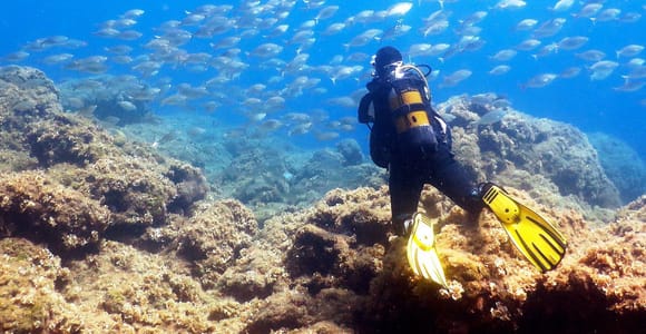 Kolymbia, Rhodes: Diving Adventure for All Levels
