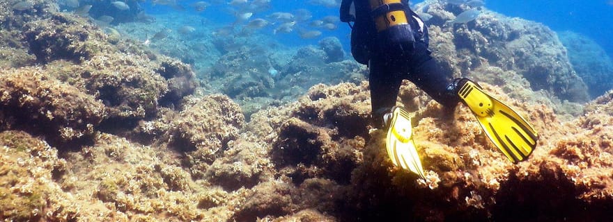 Kolymbia, Rhodes : aventure de plongée pour tous les niveaux