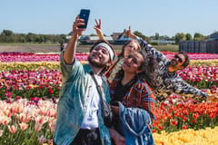 Ab Amsterdam: Tulpen-Event und Tulpenfelder-Tour