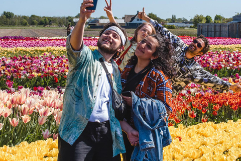From Amsterdam: Tulip Experience and Tulip Fields Tour 5- hour tour including Canal Cruise Voucher