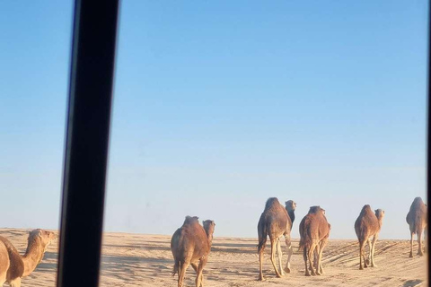 From Kairouan: 2-Day Sahara Tour with Hotel Stay 2-Day Sahara Desert Tour