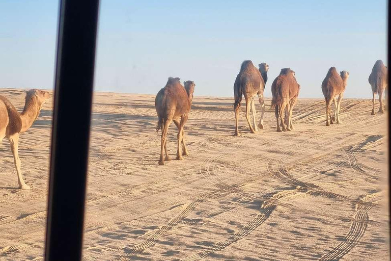 From Kairouan: 2-Day Sahara Tour with Hotel Stay 2-Day Sahara Desert Tour