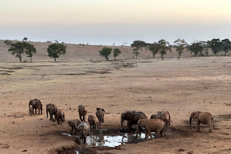 Mombasa: 3-tägige Safari im Tsavo Ost- und West-Nationalpark