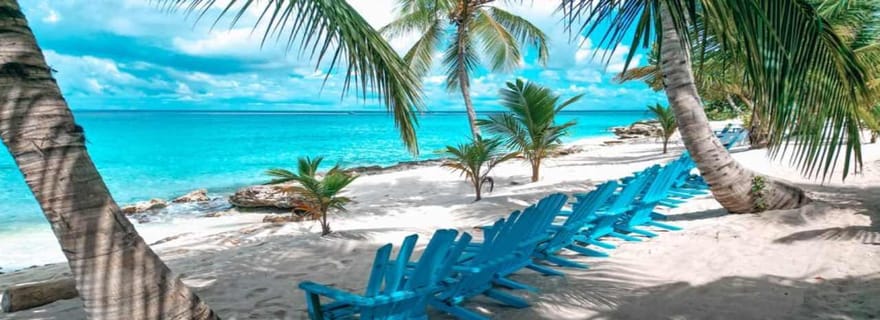 Excursion à terre Carnevial : île de Saona avec promenade en bateau rapide