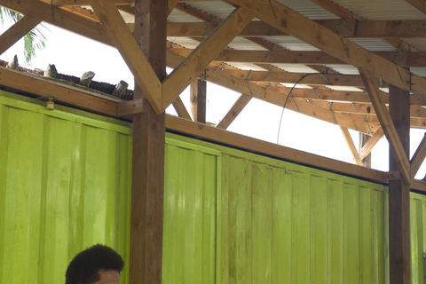 Port Vila: City and Factory Tour with Shopping