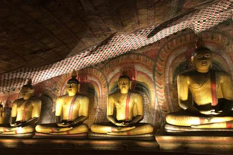 Colombo: Dambulla Cave Temple and Sigiriya Day Trip