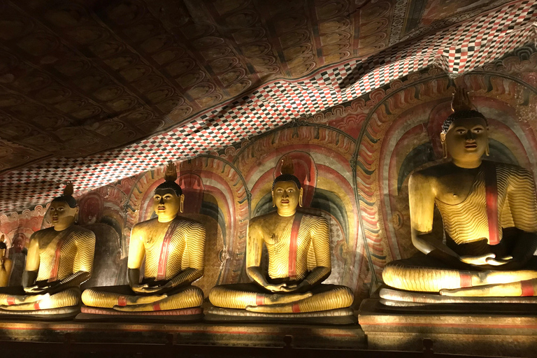 Colombo: Dambulla Cave Temple and Sigiriya Day Trip