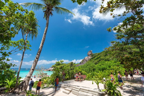 Phuket/Khao Lak: The Elite Similan Islands Yacht Experience Hotel pickup in Phuket