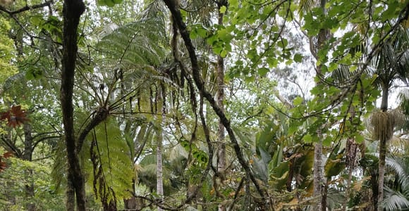 São Miguel Island: Full-Day Furnas and Vila Franca Tour