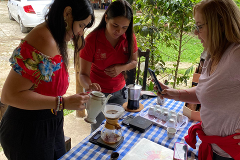 From Medellín: Half Day Private Coffee Tour