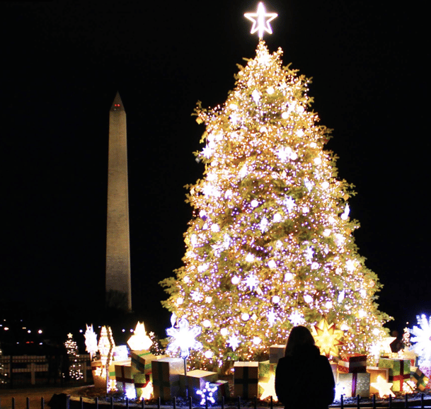 DC: Holiday Lights Night Tour with 10+ Stops &amp; Entry Tickets