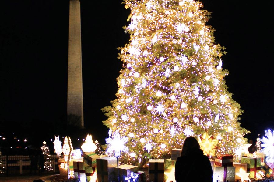 DC: Nächtliche Tour mit Weihnachtsbeleuchtung, 10+ Stopps & Eintrittskarten. Foto: GetYourGuide DC: Nächtliche Tour mit Weihnachtsbeleuchtung, 10+ Stopps & Eintrittskarten. Foto: GetYourGuide