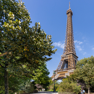 Paris: Eiffel Tower 2nd Floor or Summit Guided Tour