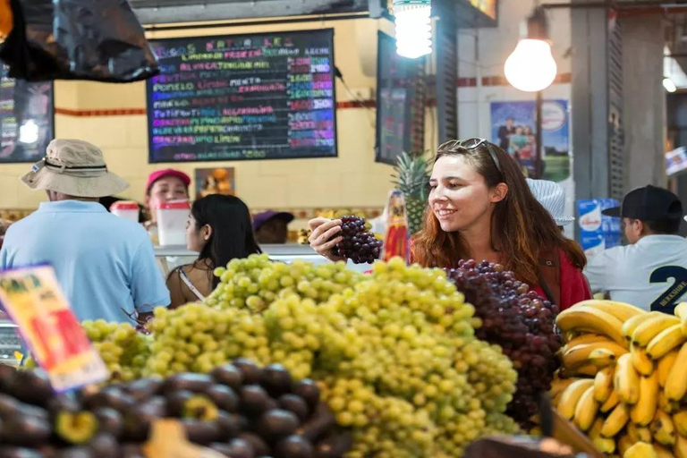 Santiago del Cile Walking City TourTour a piedi di Santiago del Cile