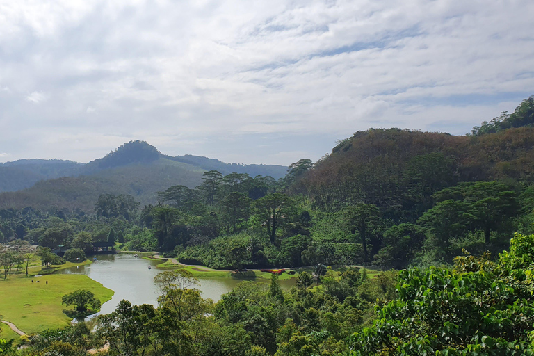 Visite du village de Bentota, safari fluvial avec Westcoast