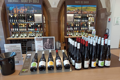 Discover the Wines of Alsace and short introduction to Strasbourg Discover German shepherd wines and a short introduction to Strasbourg