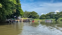 La Pavona, Shared Boat to Tortuguero Village - Housity