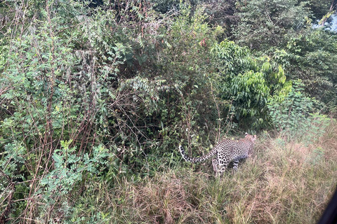 Desde Kigali: Safari y paseo en barco de 1 día por Akagera. Todo incluido