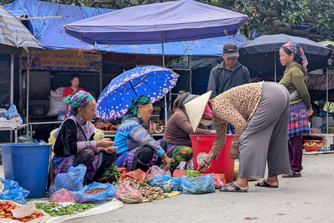 From Sapa: 1D Local Bac Ha Sunday Market Tour - Best Seller Bac Ha Market Tour with Local Lunch ( Lunch Included )