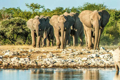 Excursión de Aventura Sabor a Namibia