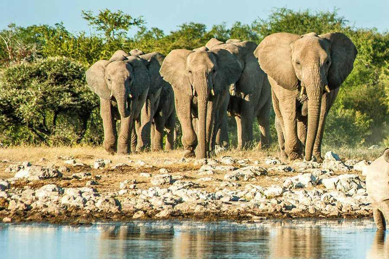 Geschmack von Namibia Abenteuer Tour