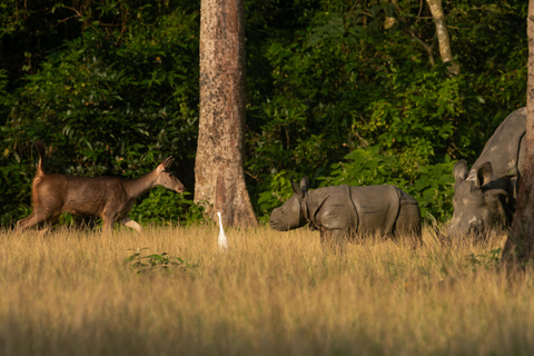 3 Nights 4 Days Chitwan National Park Tours