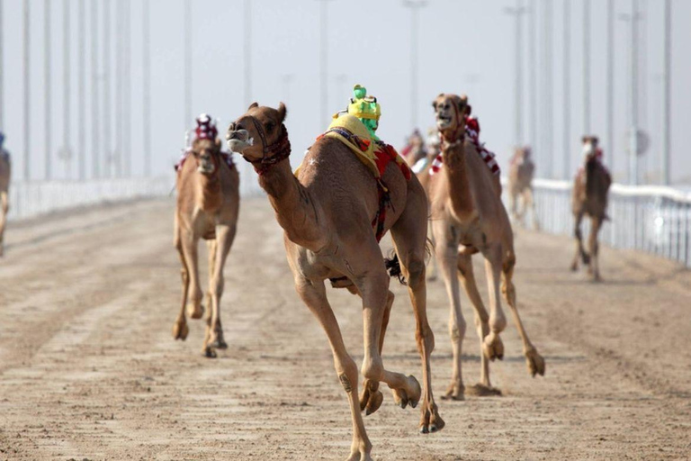 Doha: Pista de corrida de camelos e tour particular pela costa oestePista de corrida de camelos e passeio pela costa oeste