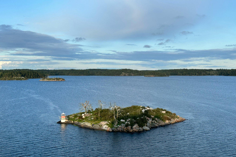 Estocolmo: tour guiado de 2 horas por las islas del archipiélago