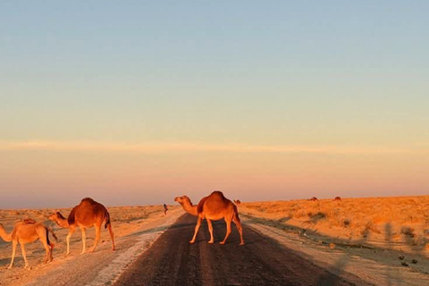 From Djerba: Desert Camp & Amazigh Villages Tour with Dinner
