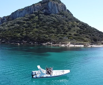 Olbia: Paseo en barco para ver delfines y hacer snorkel