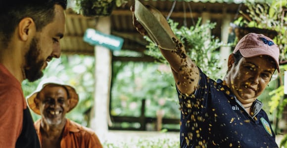 La Fortuna: Local Coffee Tour Experience