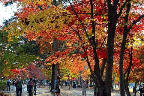 Seoul: Seorak Mountain+Nami Island+Eobi Ice Valley Tour Group Tour, departing from Hongik Univ. Station