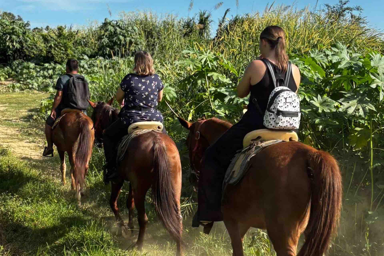 From Huatulco: Beach Horseback Riding Experience Regular Beach Horseback Riding Tour (2 hours)