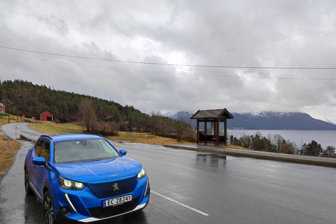 Bergen Private Tour: Waterfalls of Hardanger with a Snack
