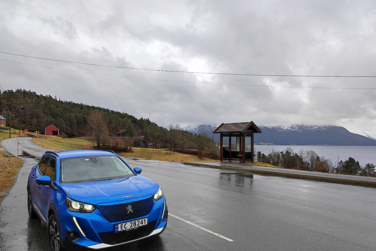 Bergen Private Tour: Waterfalls of Hardanger with a Snack
