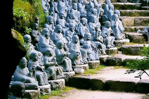 Tokyo Full Day Customizable Private Tour with English Guide